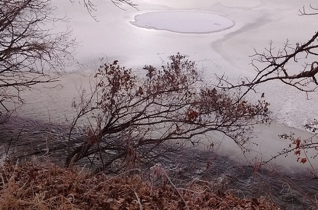 river ice (shrubs)